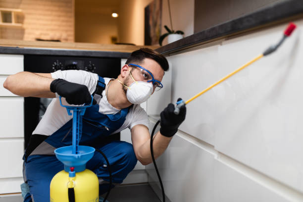 Best Local Pest Control Services  in , CO