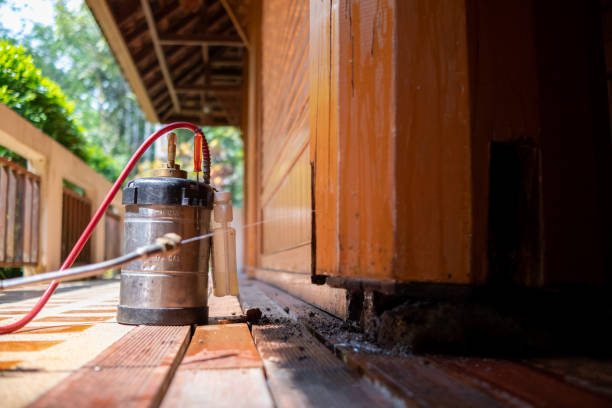 Best Affordable Pest Control Services  in , CO
