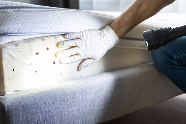 Best Pest Control Near Me  in , CO