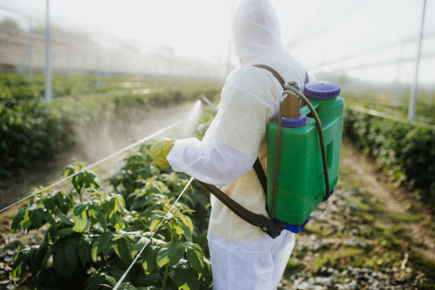 Best Emergency Pest Control  in , CO
